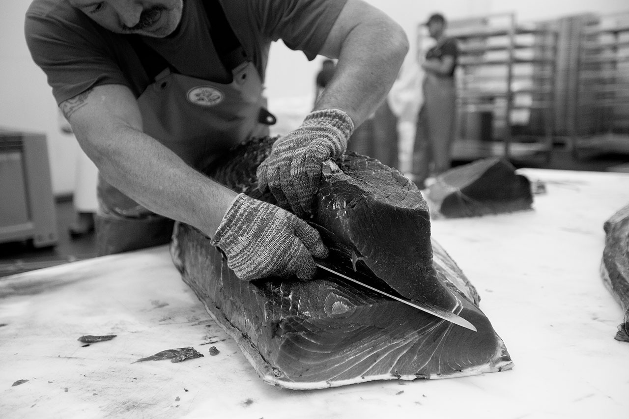 Ronqueo del atún rojo salvaje de almadraba