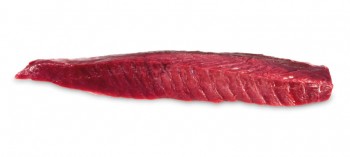 Descargamento de atún rojo salvaje de almadraba